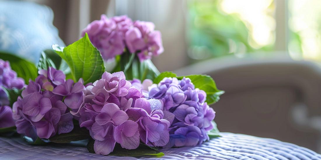 Hydrangeas: Eternal Symbols of Beauty and Hope