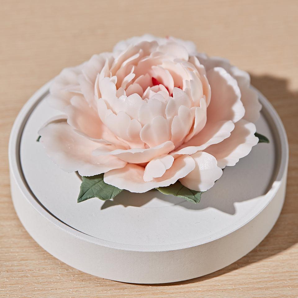 Herbaceous Peony Handmade Ceramic  Diffuser